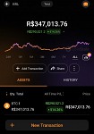 Accurate portfolio monitoring in other fiat denominations